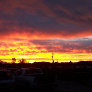 Meet your Posher, Benny